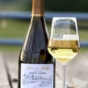 Wine_Tasting_Fronton_Chateau_Saint_Louis_Toulouse 2
