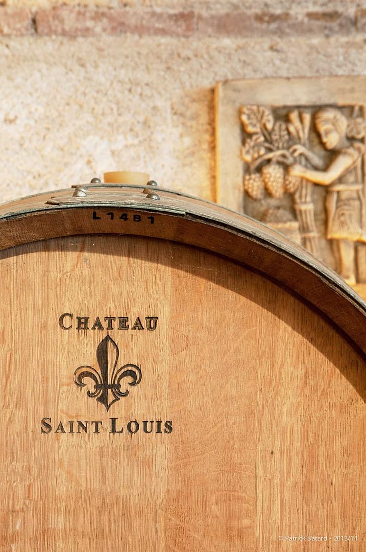 Tenuta vinicola Château Saint Louis Fronton