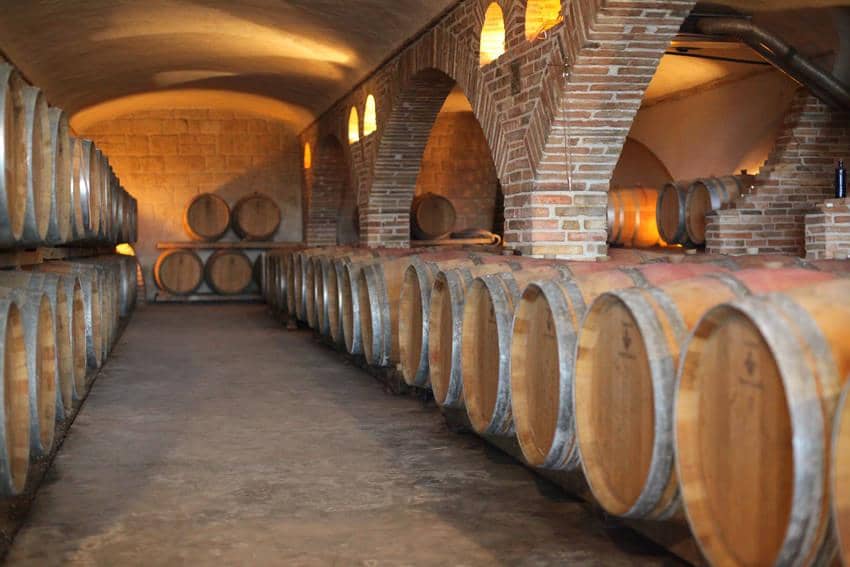 Wine_Tasting_Fronton_Chateau_Saint_Louis_Toulouse 6
