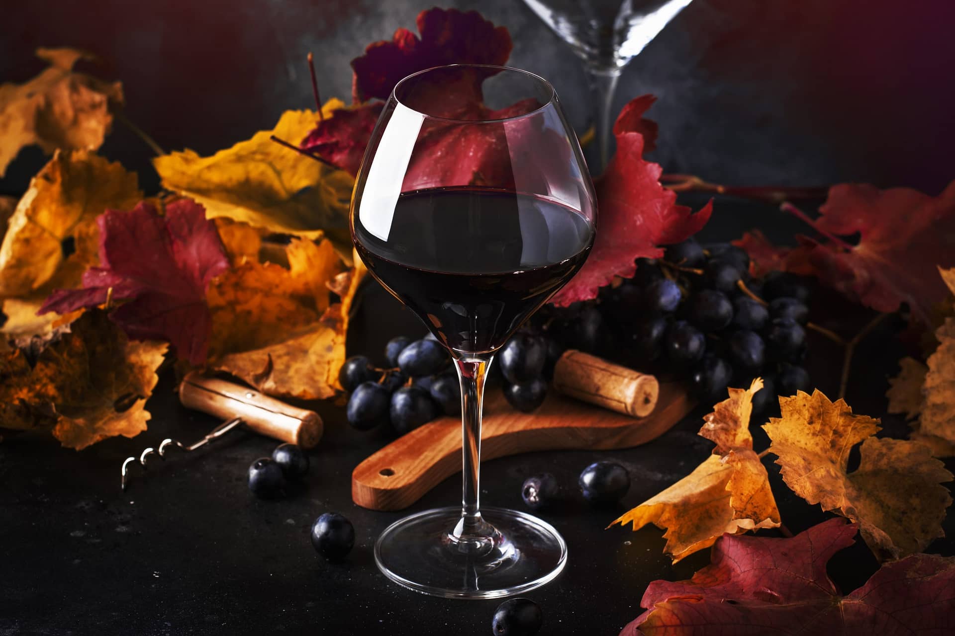 Vino tinto seco en copa de vino, bodegón de otoño con rojo y amarillo